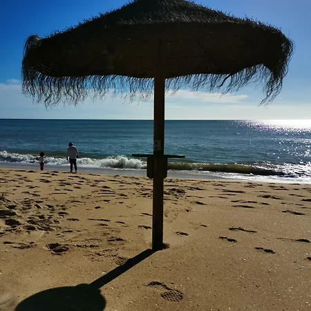 Seaflower - Cosy, Family Friendly 50m From The Apartment *